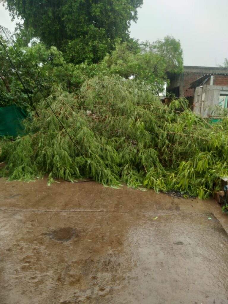 तेज आंधी तूफान से उड़े कच्चे घरों के चद्दर,कई जगह पेड़ हुए धरासाई