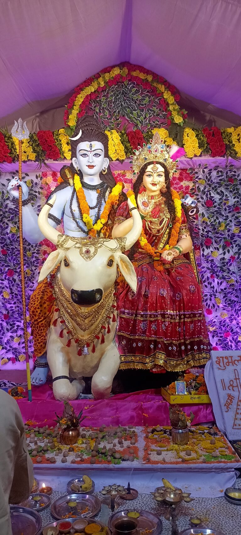 Navratri: सागर के रहली में कहीं महाकाली के रूप में …कही अन्नपूर्णा स्वरूप में तो कही दुर्गा रूप में शक्ति और राधारानी स्वरूप में भक्ति प्रदान कर रही भगवती