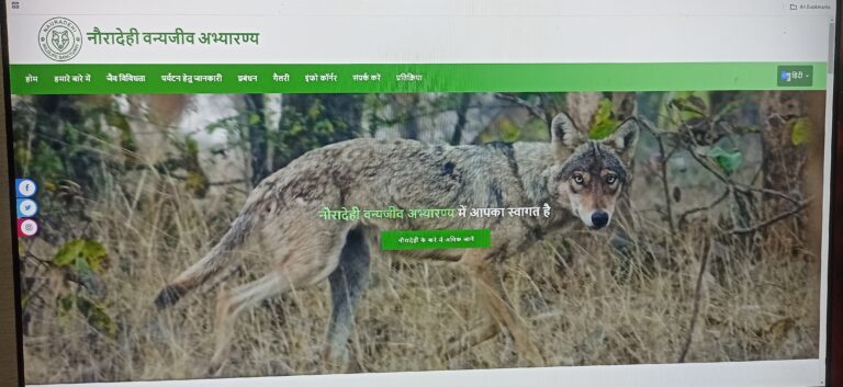 नौरादेही अभ्यारण बेबसाइड को अपडेट कर वीरांगना दुर्गावती टाइगर रिजर्व करना भूला वन विभाग