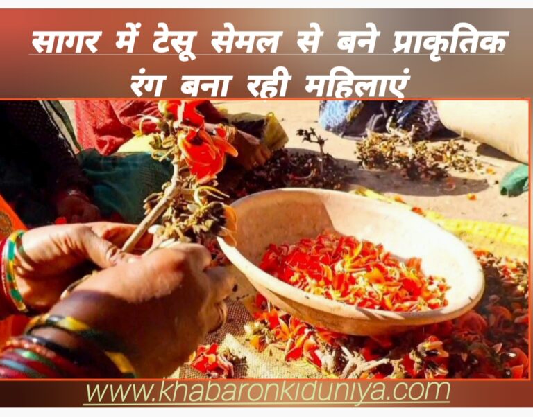 होली:टेसू सेमल के फूलों से सागर में बन रहा प्राकृतिक रंग और गुलाल