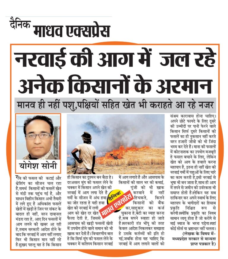 नरवाई की आग में जल रहे अनेक किसानों के अरमान,मानव ही नहीं पशु,पक्षियों सहित खेत भी कराहते आ रहे नजर।
