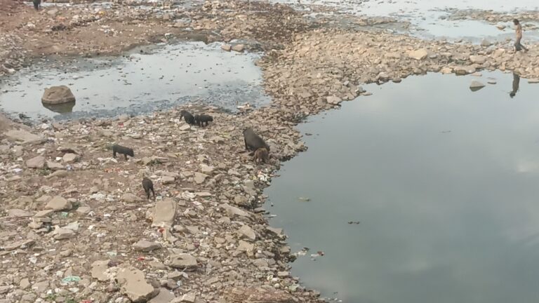 कलेक्टर ने सुनार नदी का पानी के पेयजल को छोड़कर अन्य उपयोग पर लगाई रोक 