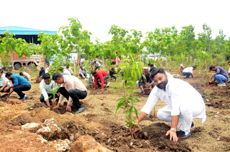 पूर्व मंत्री भार्गव के जन्मदिन पर रहली में हुआ वृहद वृक्षारोपण,