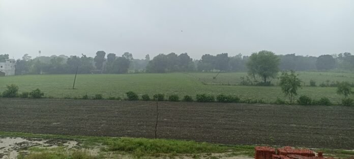 IMG_20250707_094400