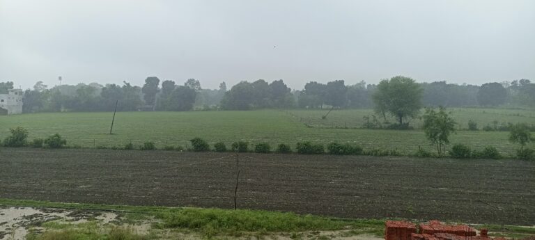 सागर जिले में अब तक 370.9मि.मी. औसत वर्षा दर्ज