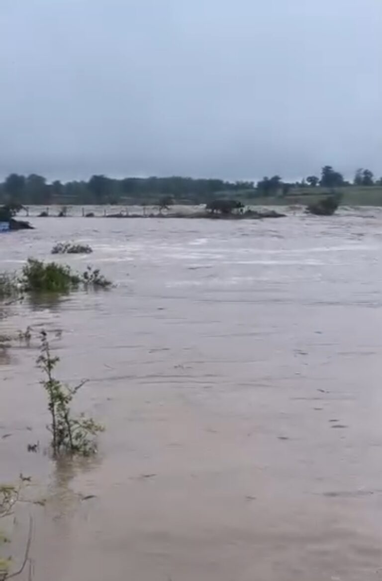 ब्रेकिंग: सागर जबलपुर व्हाया रहली स्टेट हाइवे मार्ग बंद,ब्यारमा नदी उफान पर।पुल डूबा