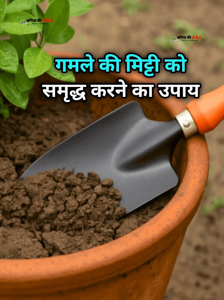 Gardening: क्या आप जानते है,मिट्टी भी एक समय पर थक जाती है और उसकी उर्वरता कम हो जाती है