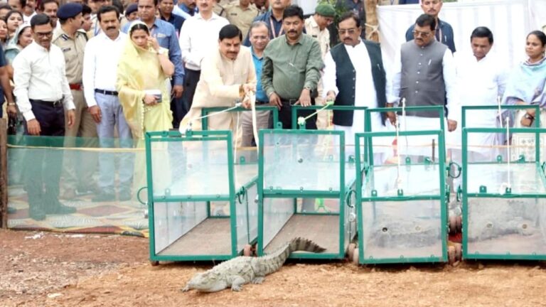 MP:सीएम यादव का नर्मदा जी में मगरमच्छ छोड़ना कितना उचित,