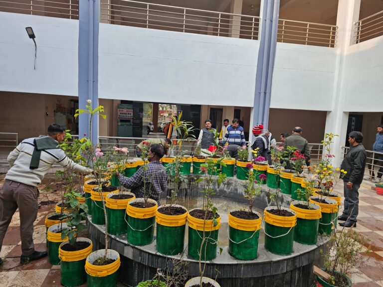 MPNEWS नूतन वर्ष का अनूठा स्वागत: रहली जनपद पंचायत परिसर में हुआ पौधरोपण, गुलाब के पुष्पों से महकता रहेगा जनपद भवन