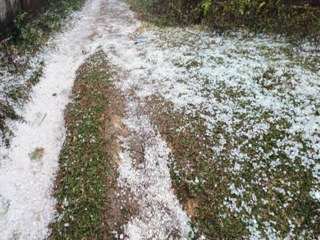 राजस्थान में मौसम का कोहराम: बसंत पंचमी पर बरसी ‘आफत’, ओलावृष्टि से शादियों में मची अफरा-तफरी, फसलों को भारी नुकसान