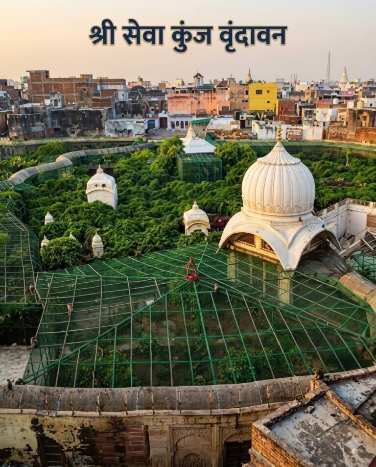 #वृंदावन का सेवा कुंज: जहाँ भगवान का ऐश्वर्य हारता है और प्रेम की विजय होती है