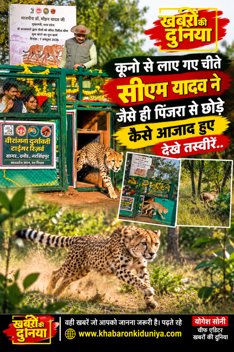 बुंदेलखंड में चीतों का बना आशियाना, वीरांगना दुर्गावती टाइगर रिजर्व बना प्रदेश का तीसरा चीता आवास
