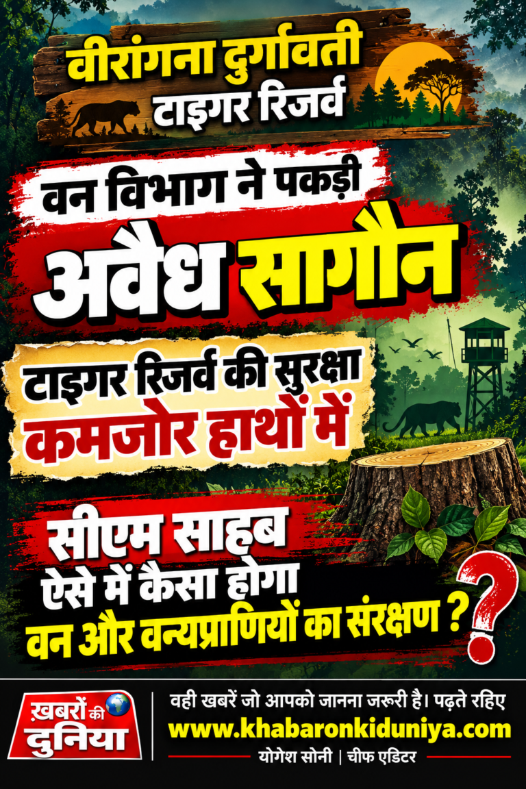 टाइगर रिजर्व में सेंध,चोर कर रहे अवैध कटाई,देख लो सीएम साहब ऐसे हो रही सुरक्षा